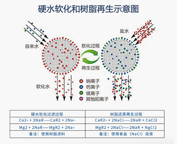 硬脂软化和树脂再生示意图